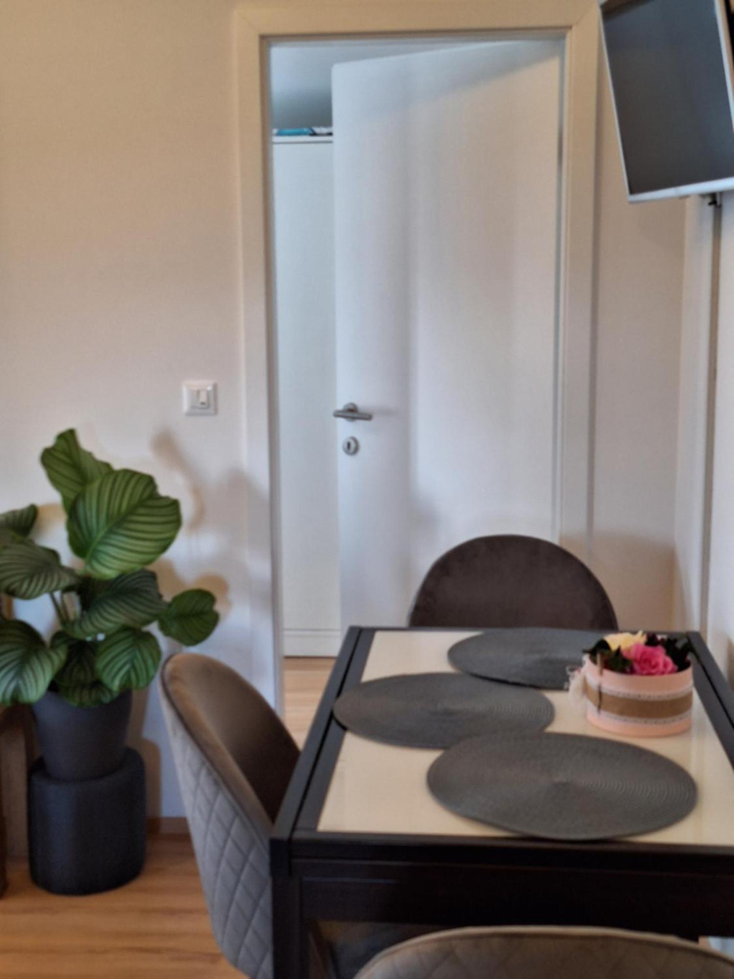 Apartment Dorina Buje Exterior foto