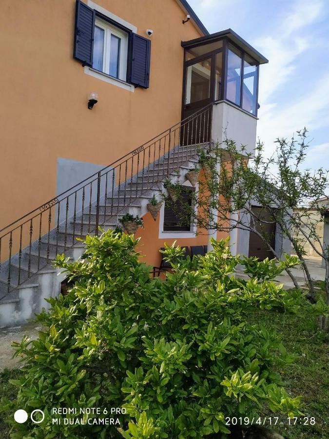 Apartment Dorina Buje Exterior foto