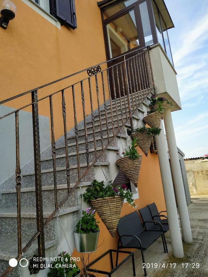 Apartment Dorina Buje Exterior foto