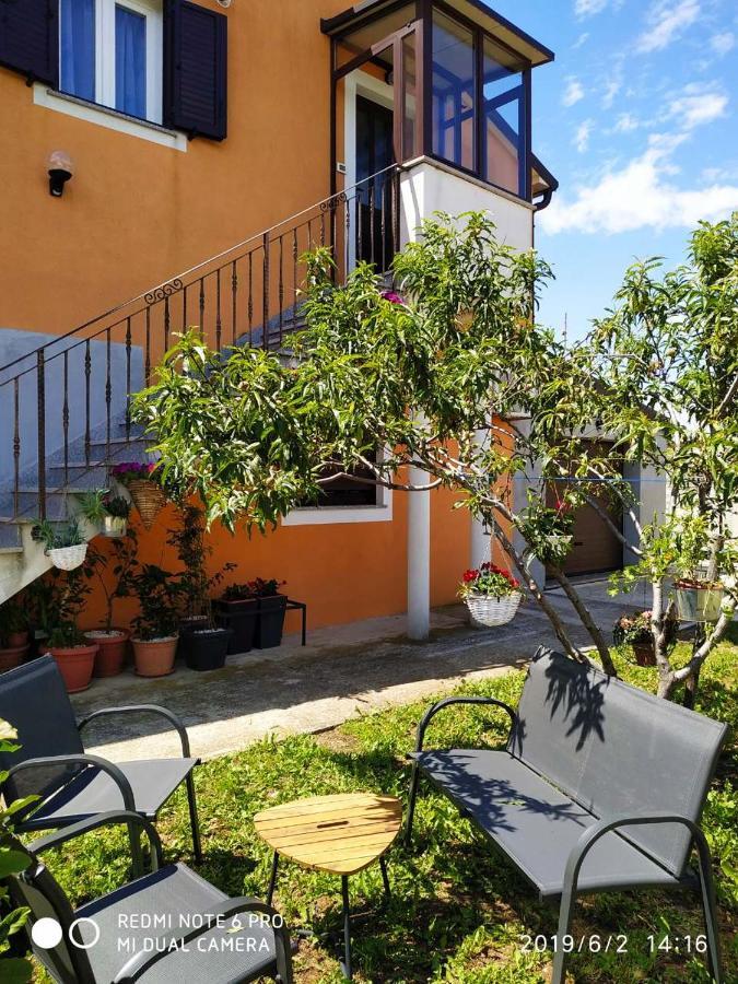 Apartment Dorina Buje Exterior foto