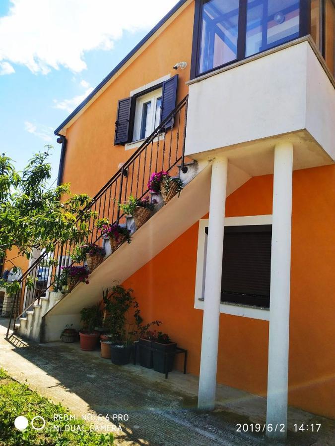Apartment Dorina Buje Exterior foto